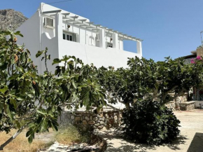 Seaview Apartment Villa Telendos